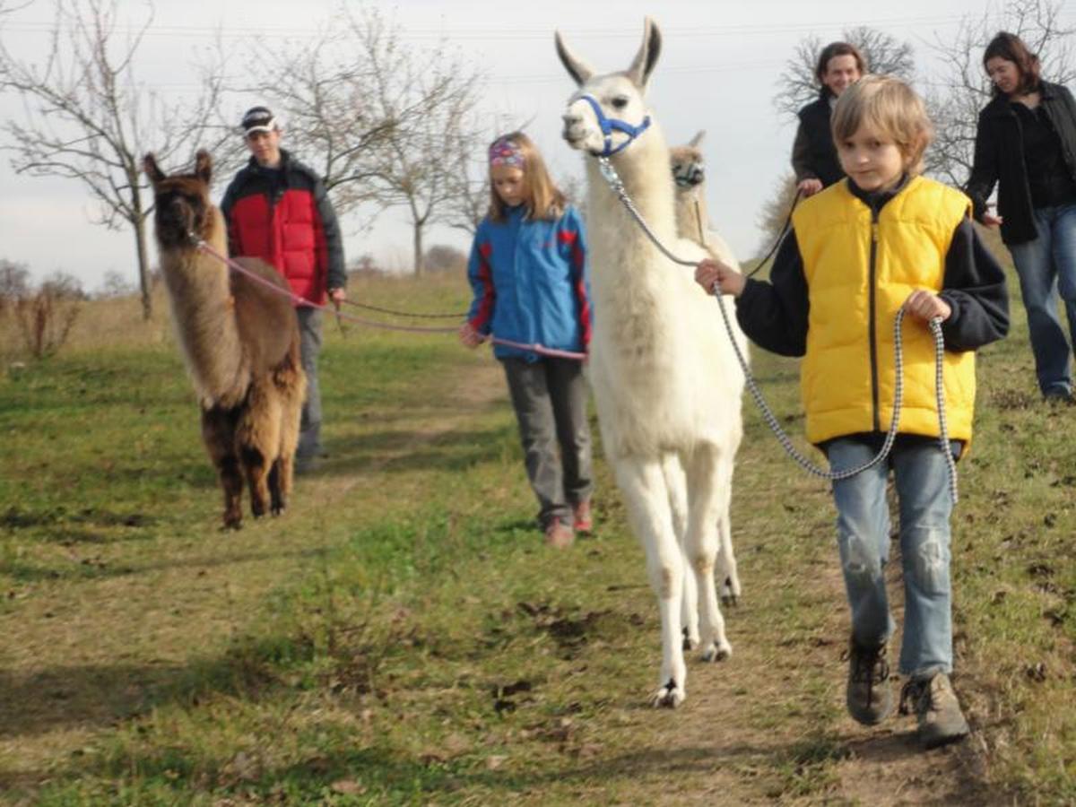 Ursenbacherhof Waibstadt Dış mekan fotoğraf